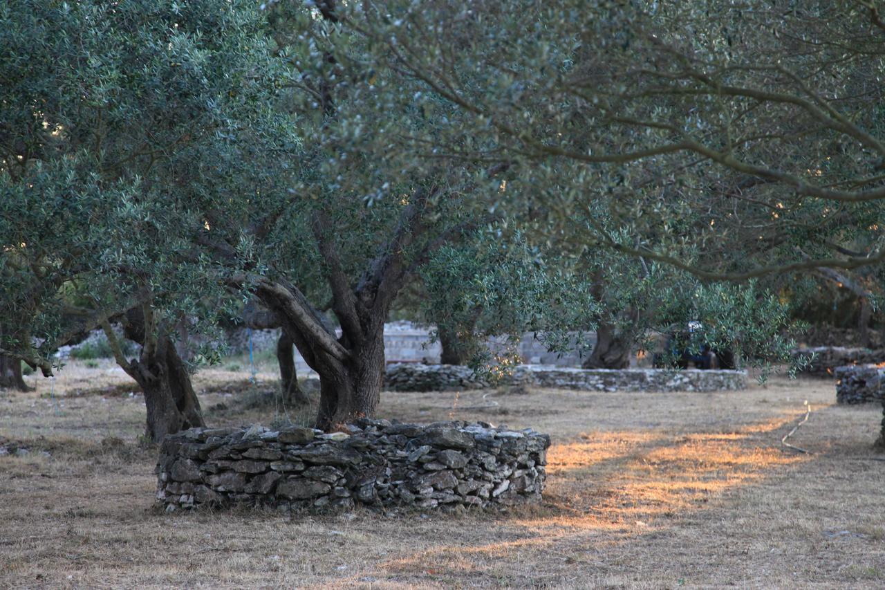 A Loghja Di Cavallo Morto Bonifacio  Exterior foto