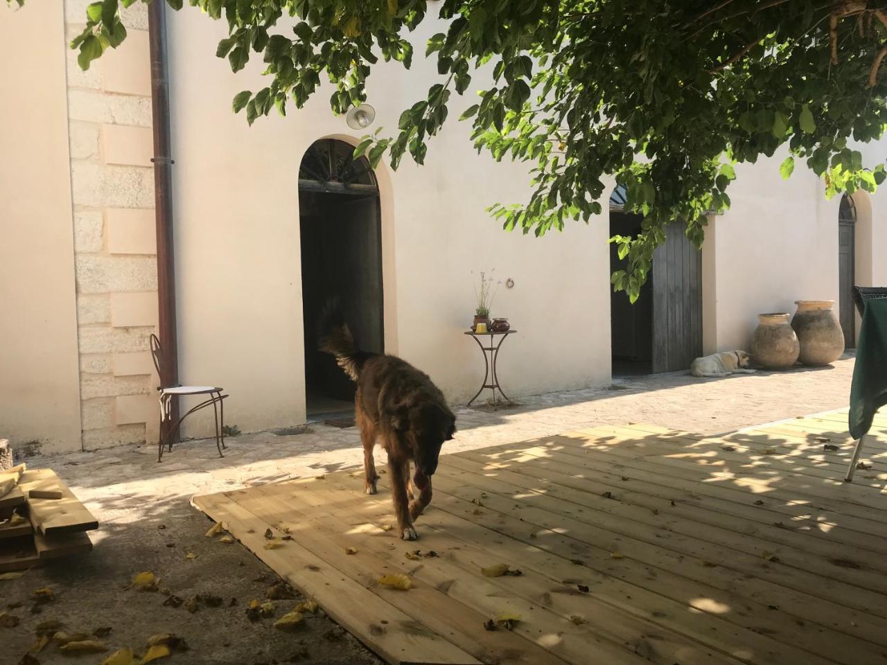 A Loghja Di Cavallo Morto Bonifacio  Exterior foto